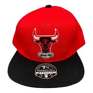 Mitchell & Ness Dynasty Chicago Bulls Windy City Fitted‎ Hat Men's Sz 7 3/4
